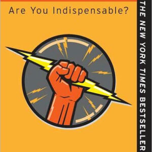 Linchpin: Are You Indispensable softcopy