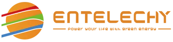 Entelechy14